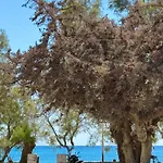 Сasa de vacaciones House On The Agia Anna Naxos
