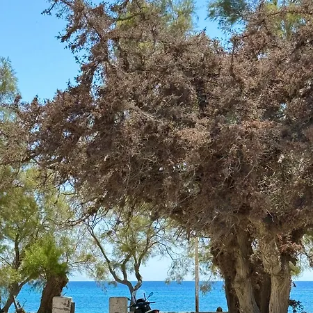 度假居 House On The Agia Anna Naxos