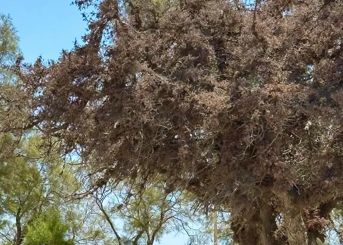Сasa de vacaciones House On The Agia Anna Naxos